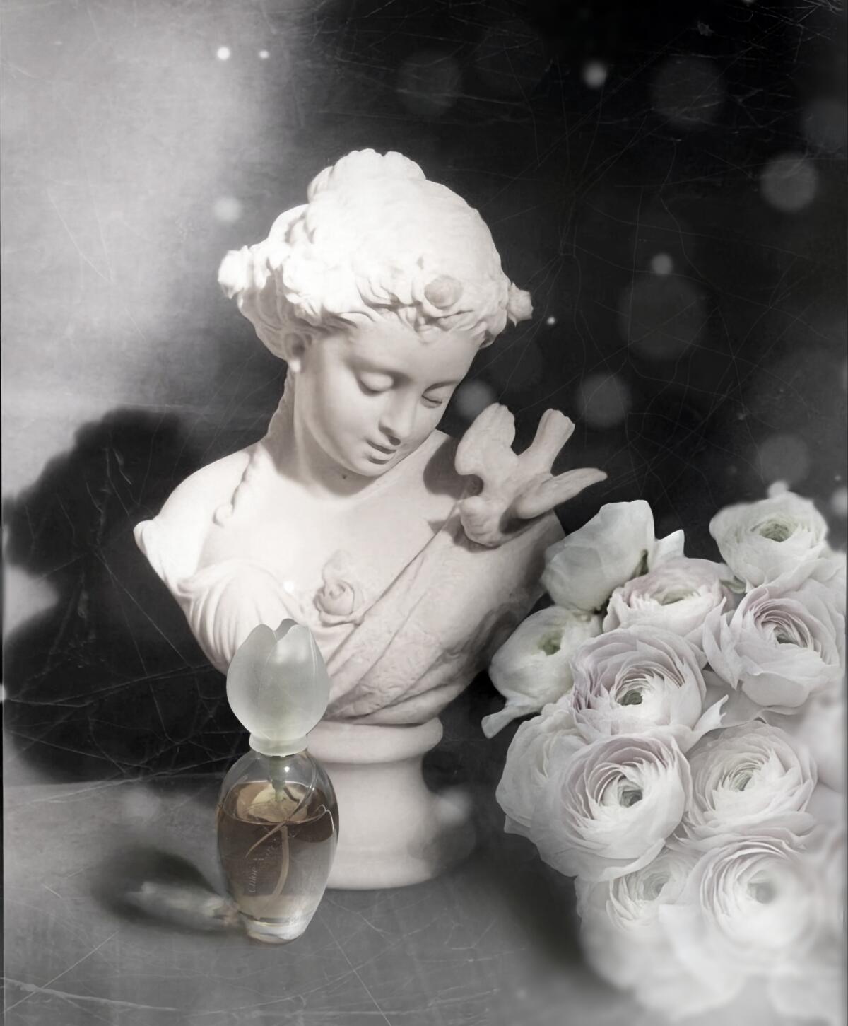 تصویر عطر کلوئه نارسیس