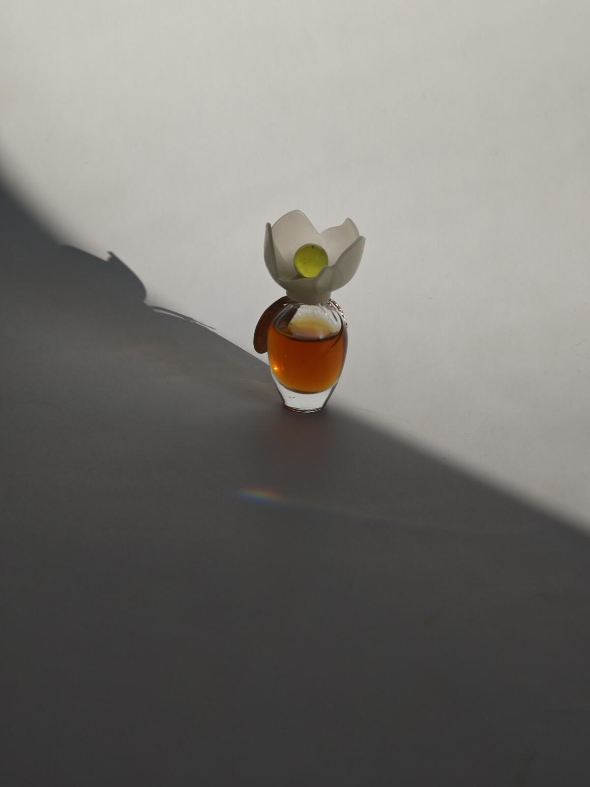 تصویر عطر کلوئه نارسیس