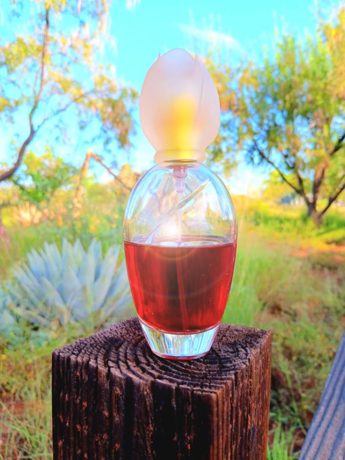 تصویر عطر کلوئه نارسیس