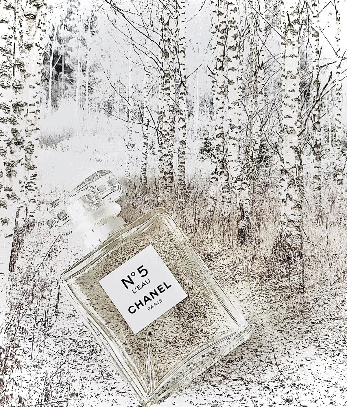 تصویر عطر شنل نامبر فایو لو