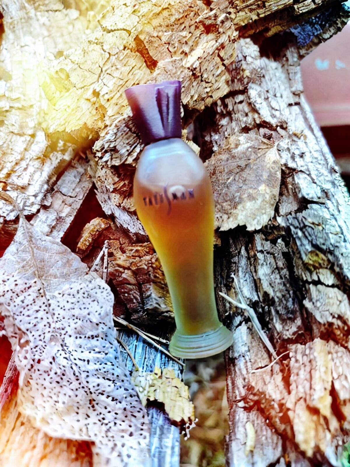 تصویر عطر تلیسمان بالنسیاگا
