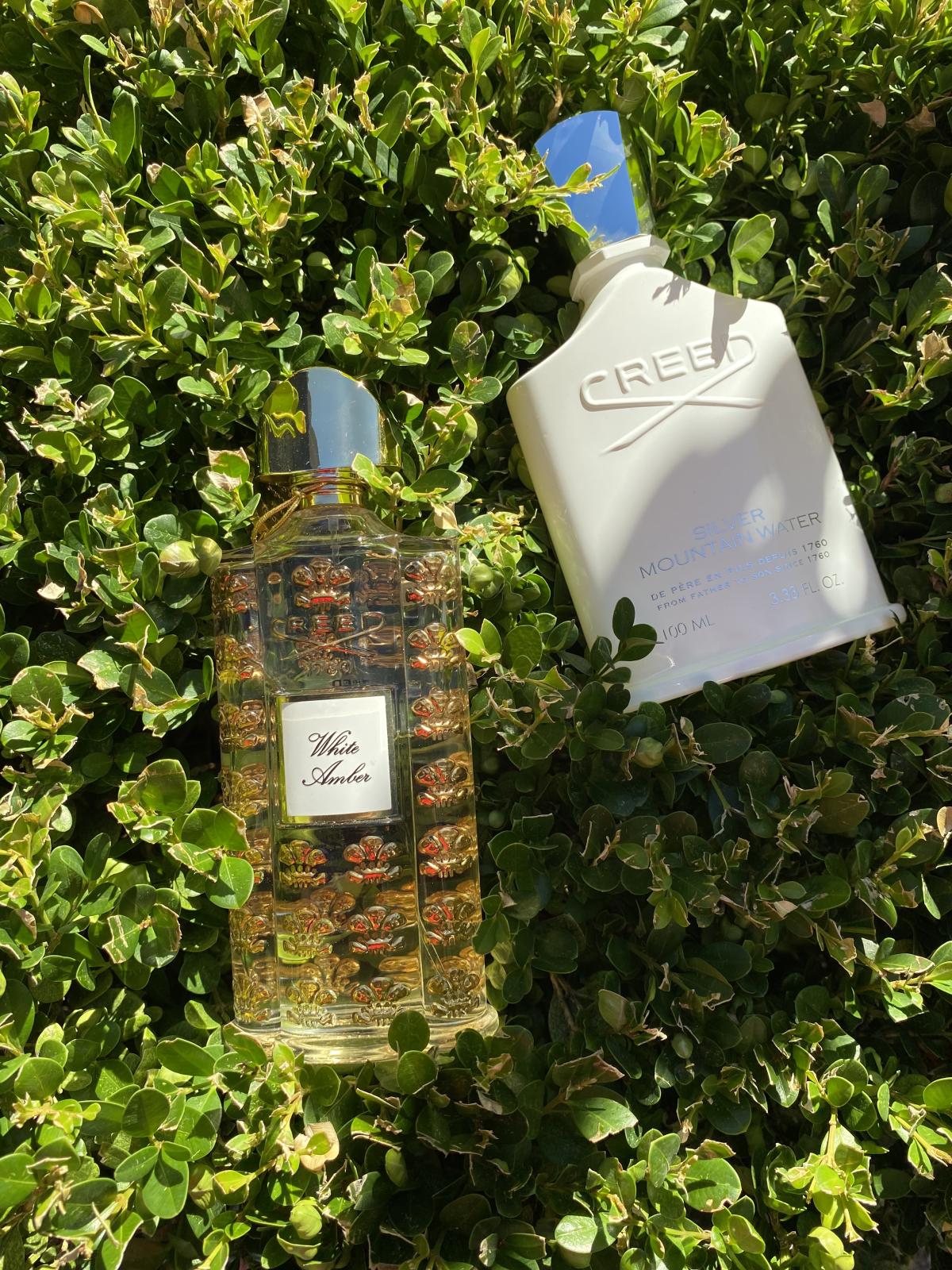 تصویر عطر وایت امبر کرید