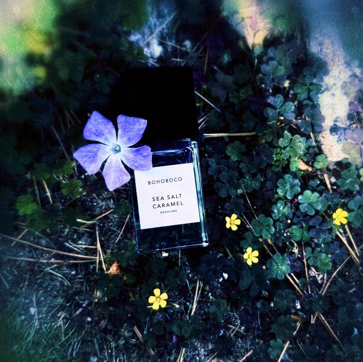 تصویر عطر سی‌سالت کارامل بوهوبوکو