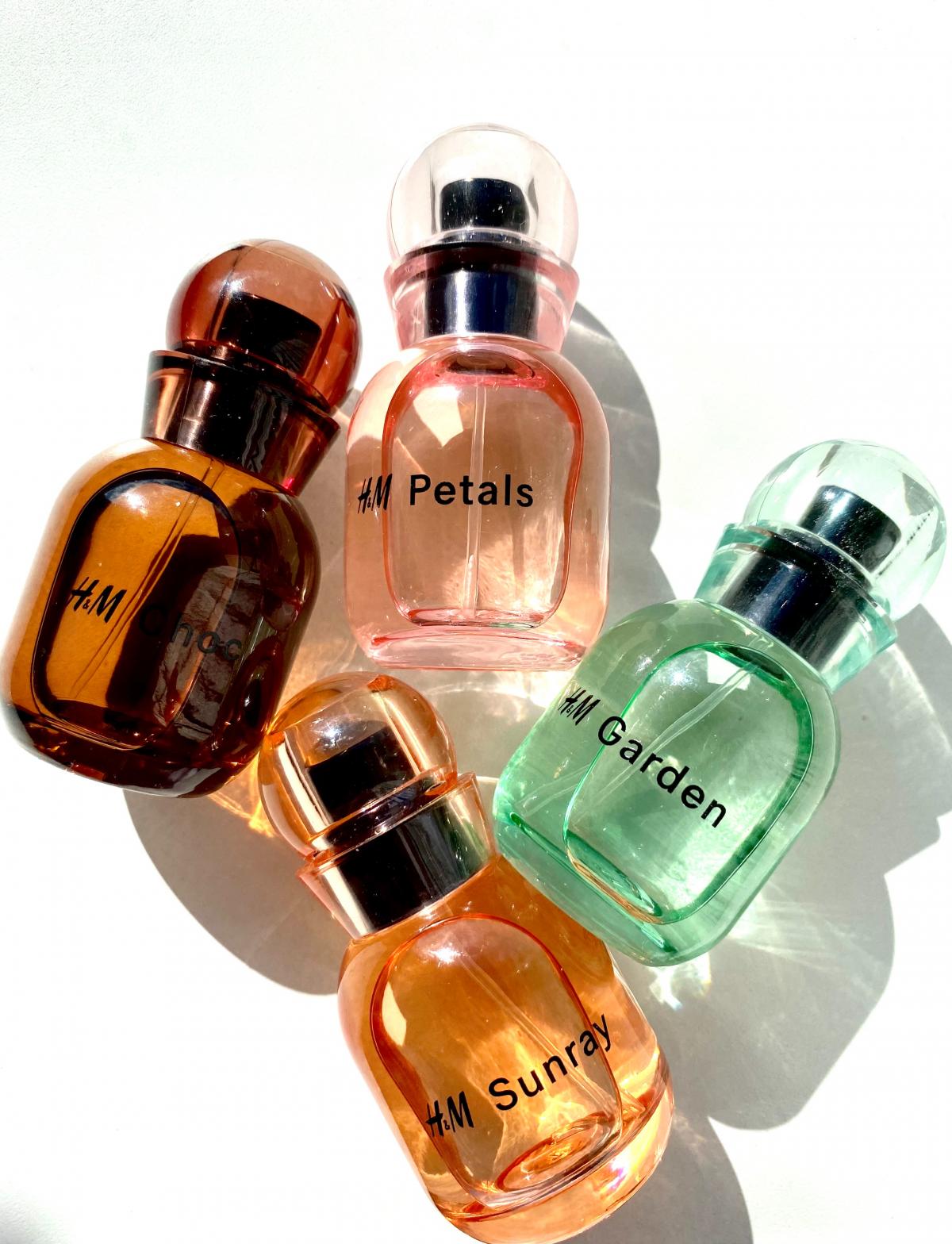 تصویر عطر اچ اند ام سانری - گولدن وارمث