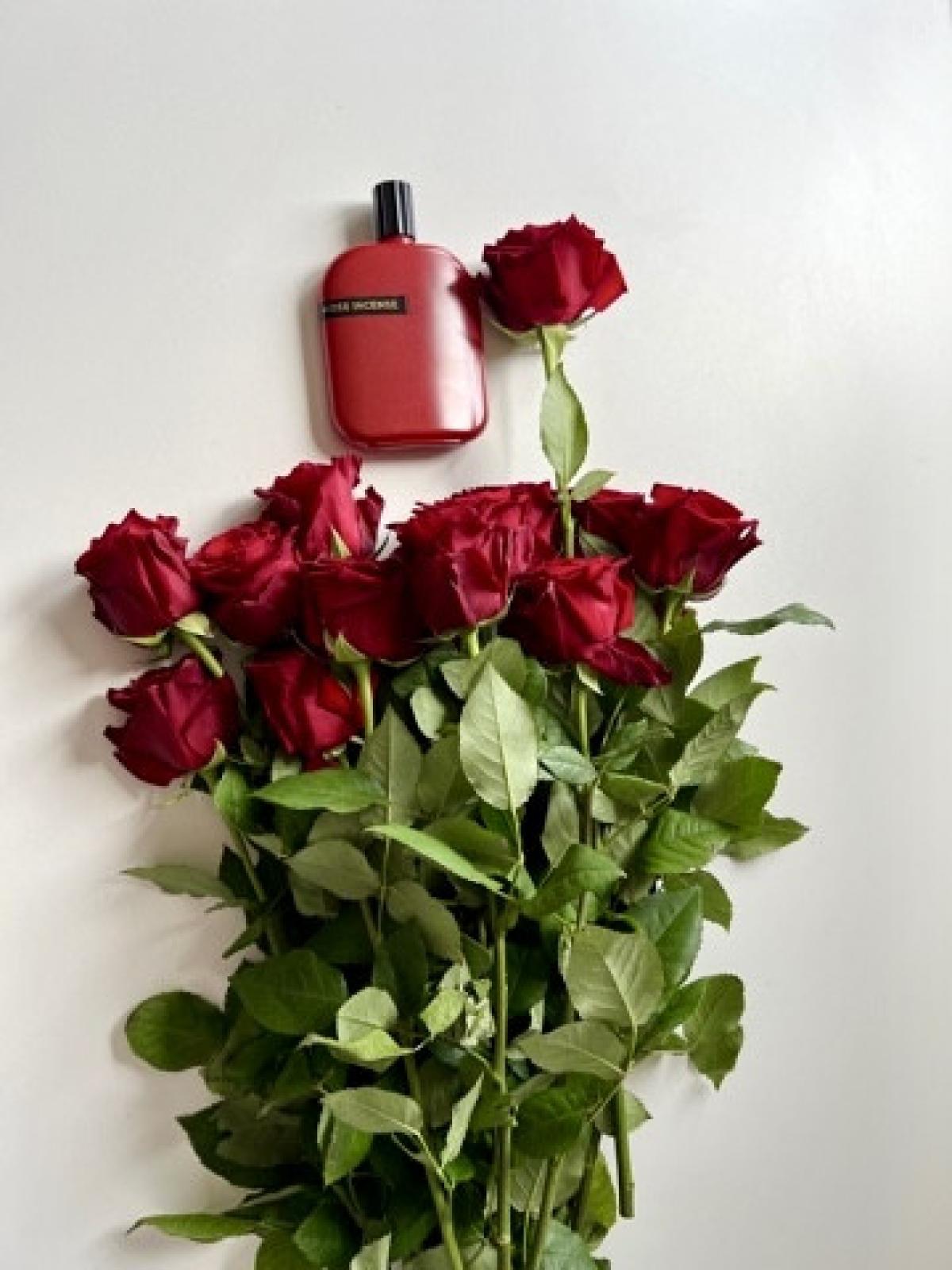 تصویر عطر ده لایبرری کالکشن رز اینسنس آمواژ