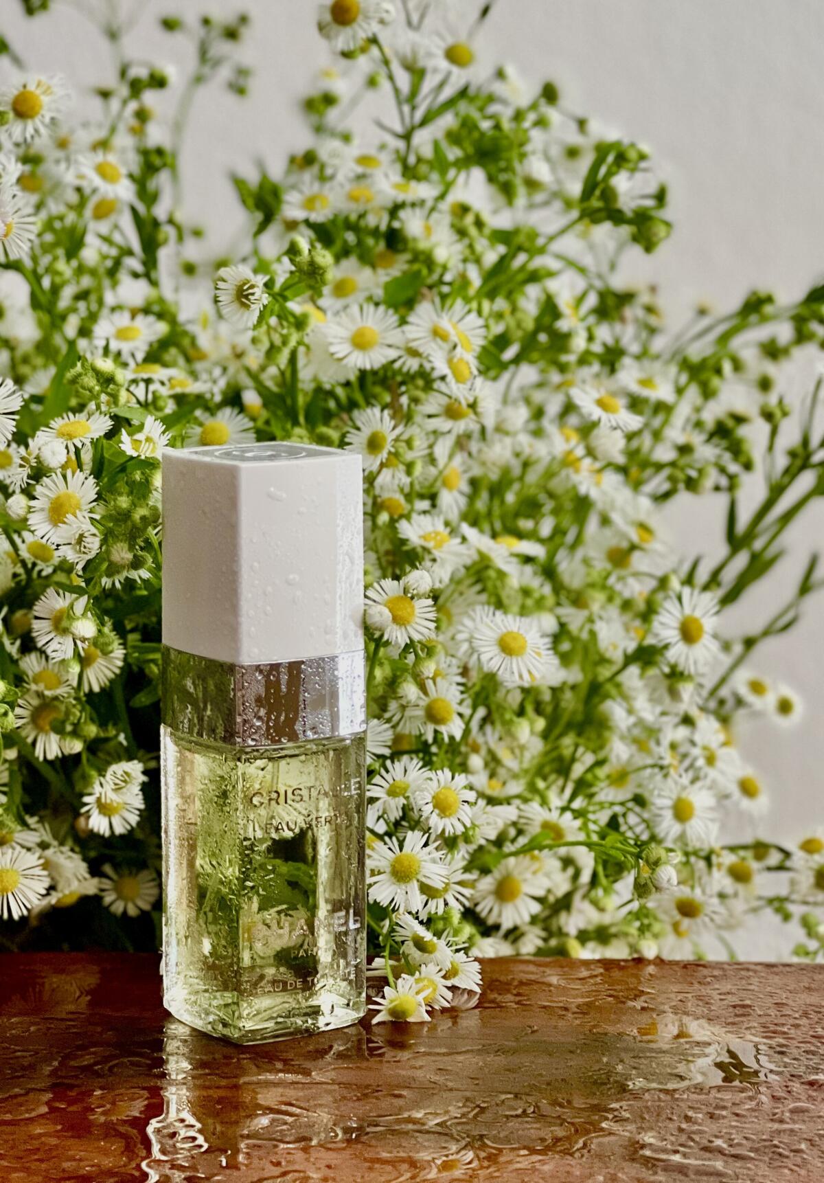 تصویر عطر کریستال او ورت شنل