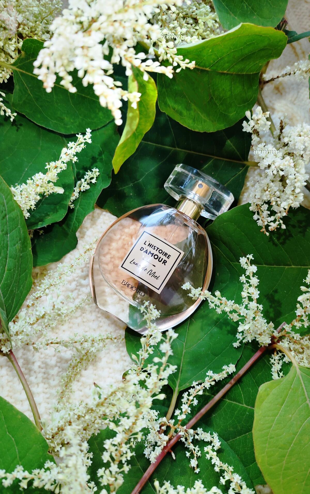 تصویر عطر لون دو مِیِل بروکارد