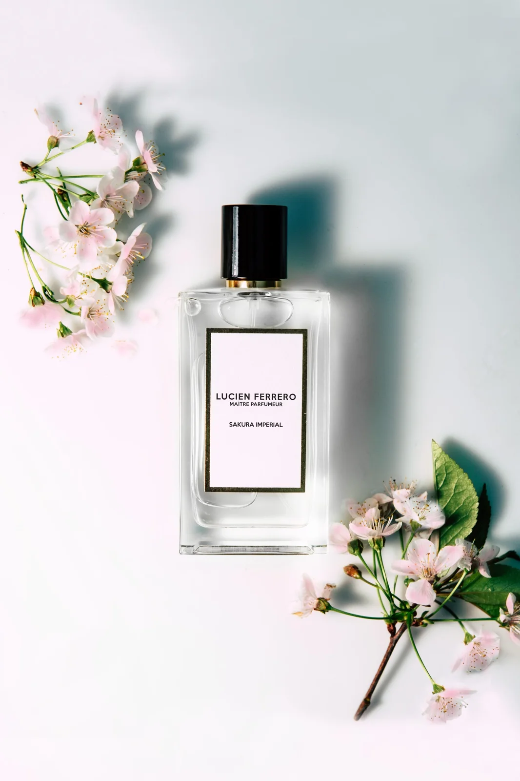 تصویر عطر ساکورا ایمپریال آنتولوژی