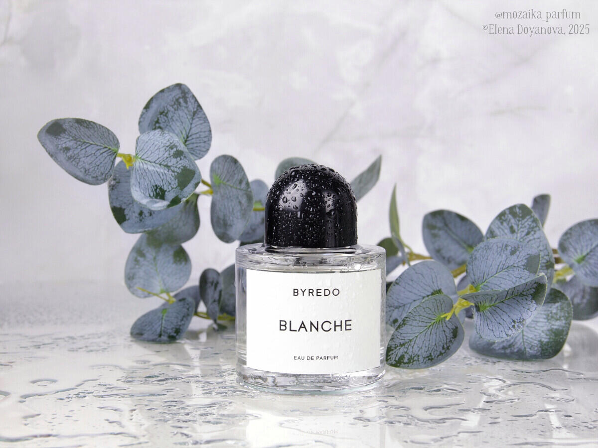تصویر عطر بلانش بایردو