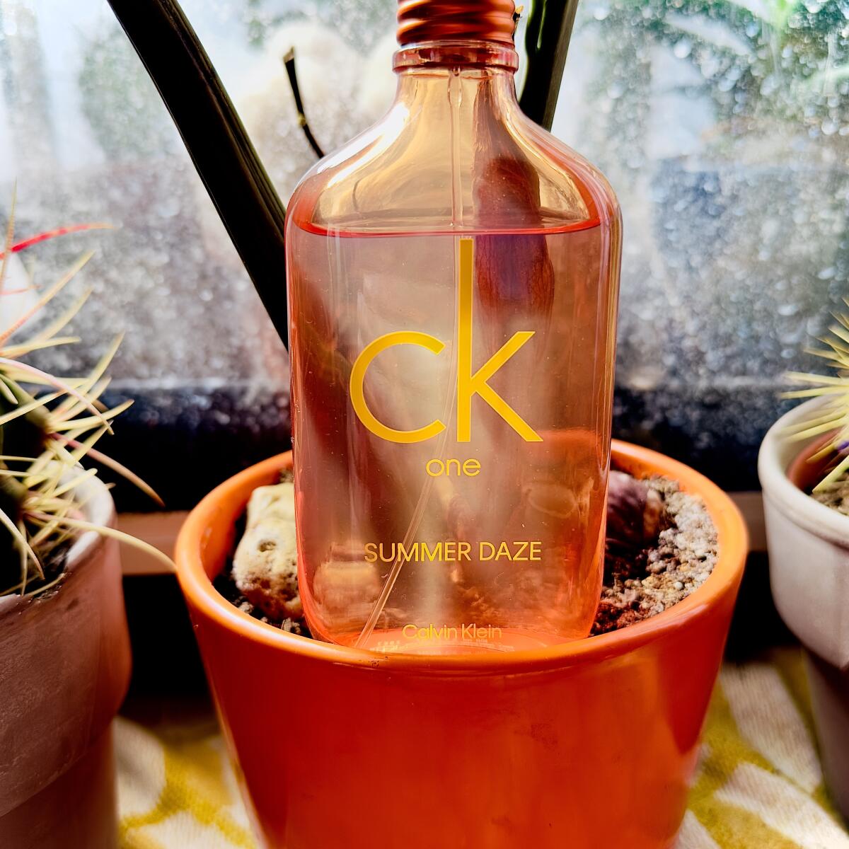 تصویر عطر سی کی وان سامر دیز کالوین کلین
