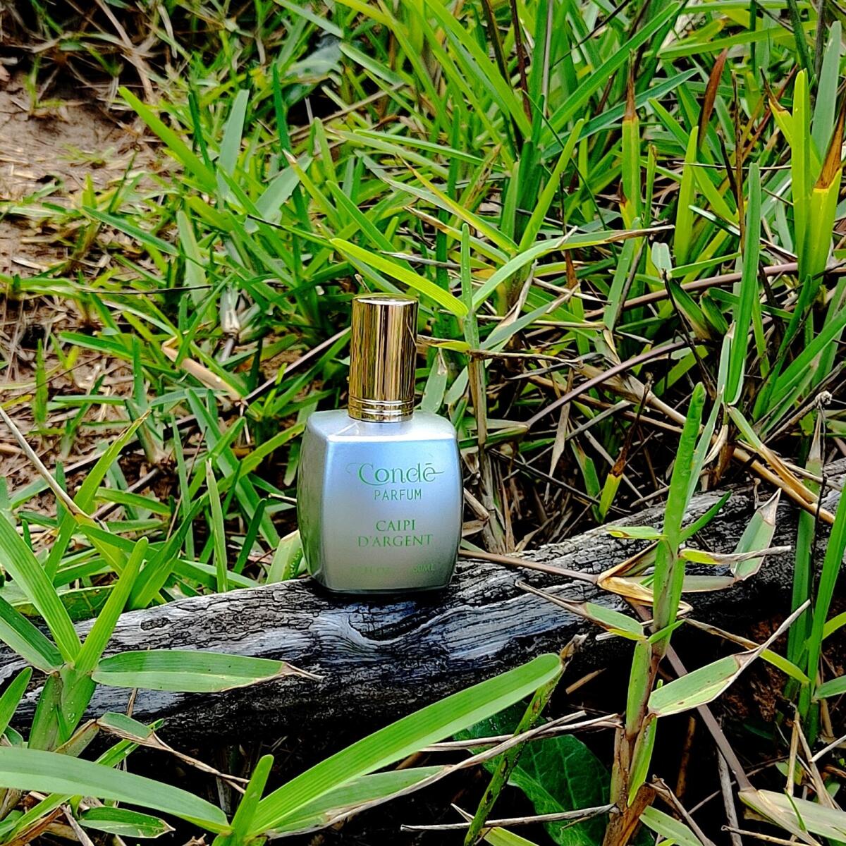 تصویر عطر کایپی د آرژان کنده پرفیوم