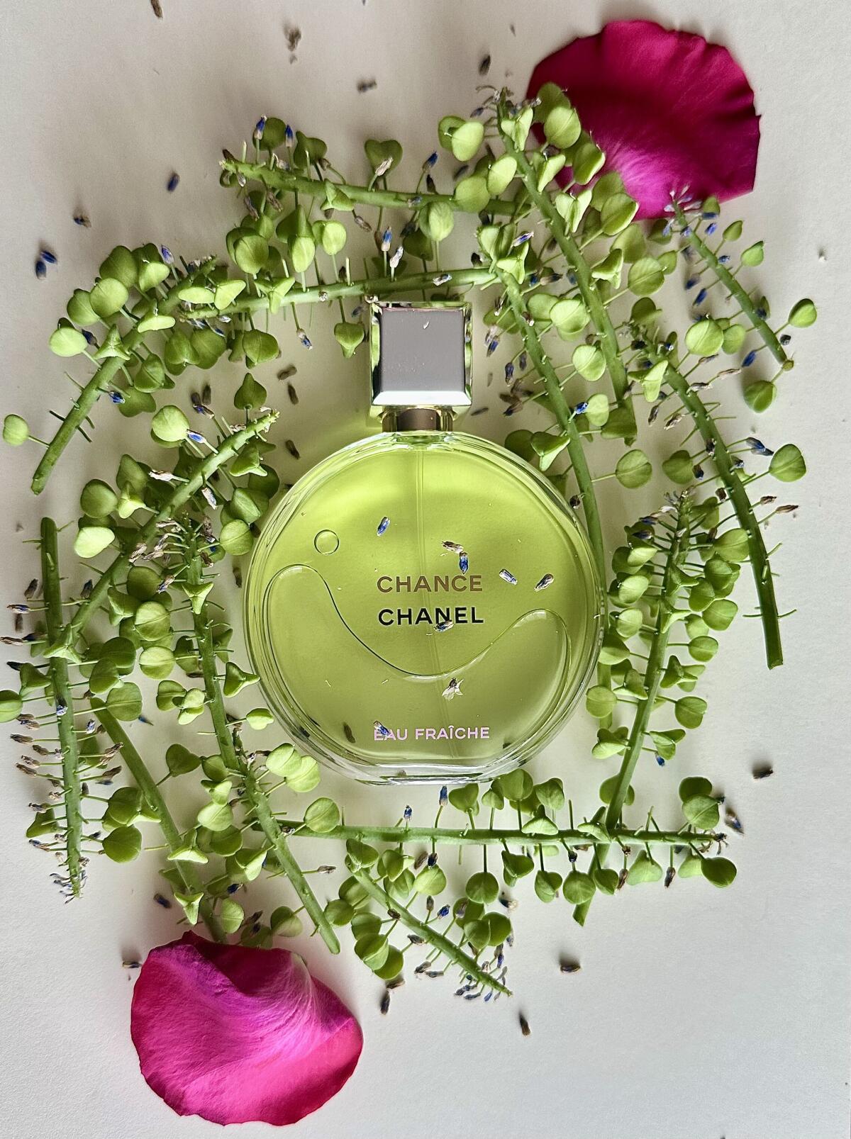 تصویر عطر چنس او فرش او دو پارفوم شنل