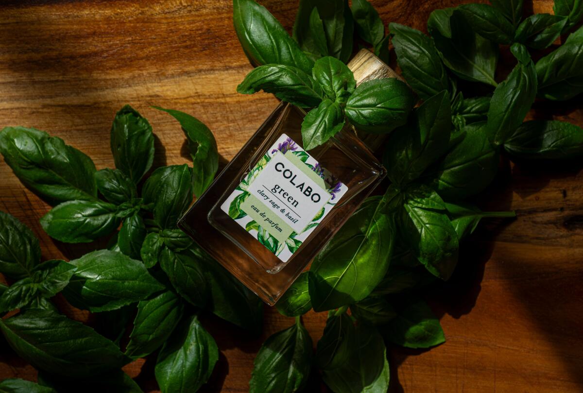 تصویر عطر گرین کلری سیج اند بَیسِل کولابو