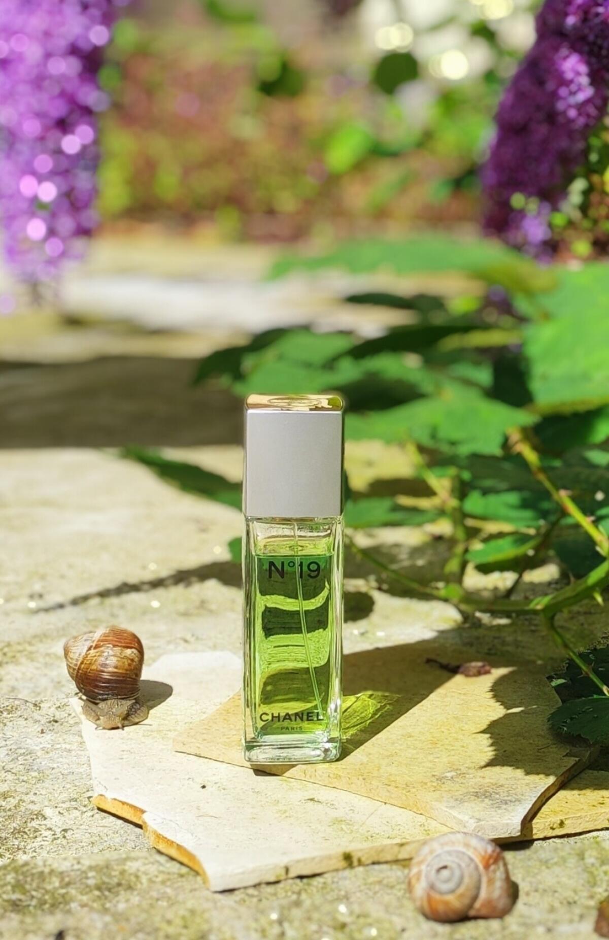 تصویر عطر شانل نامبر نوزده او دو تویلت شنل