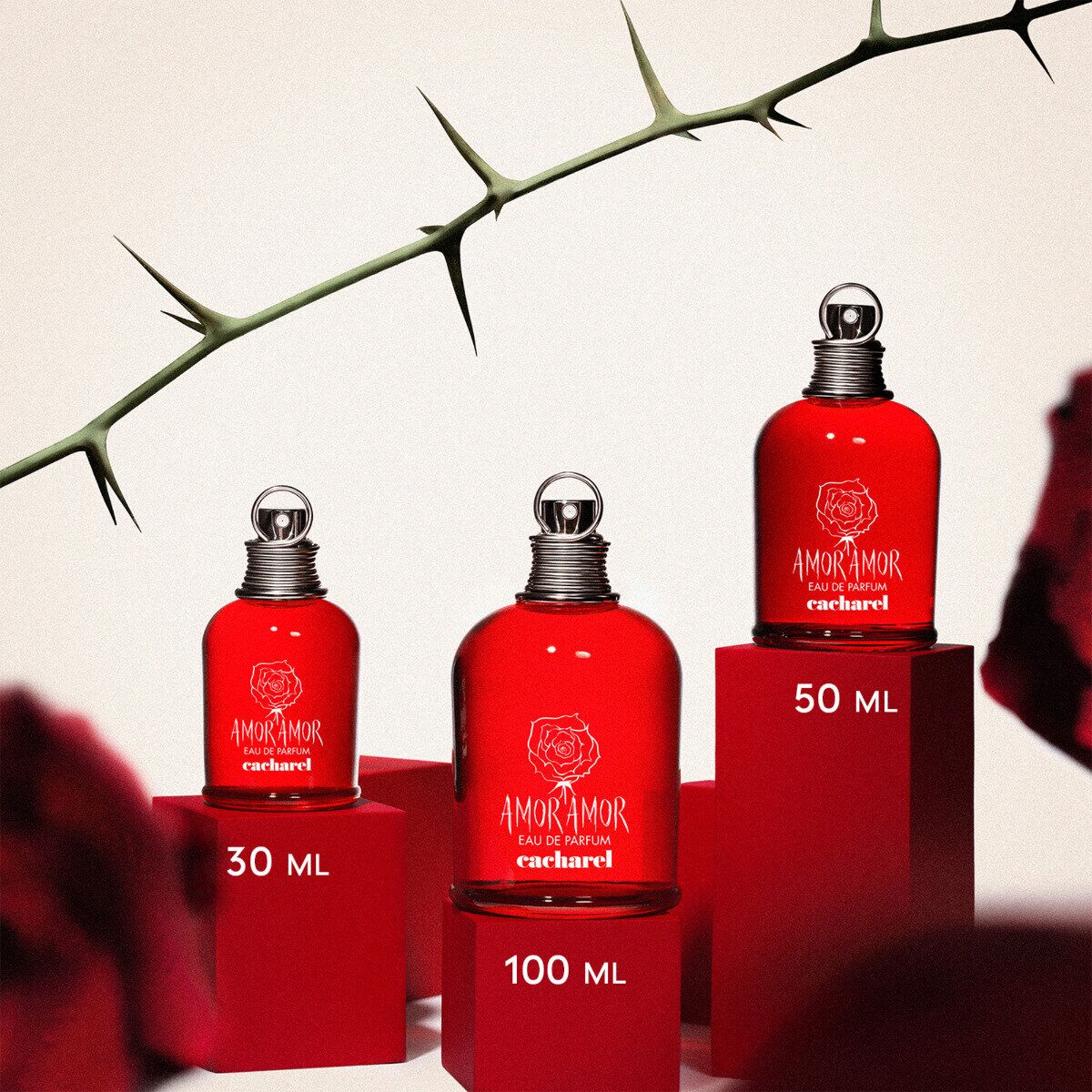 تصویر عطر امور امور او دو پرفیوم کاشارل