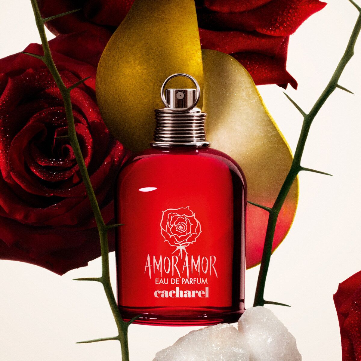 تصویر عطر امور امور او دو پرفیوم کاشارل