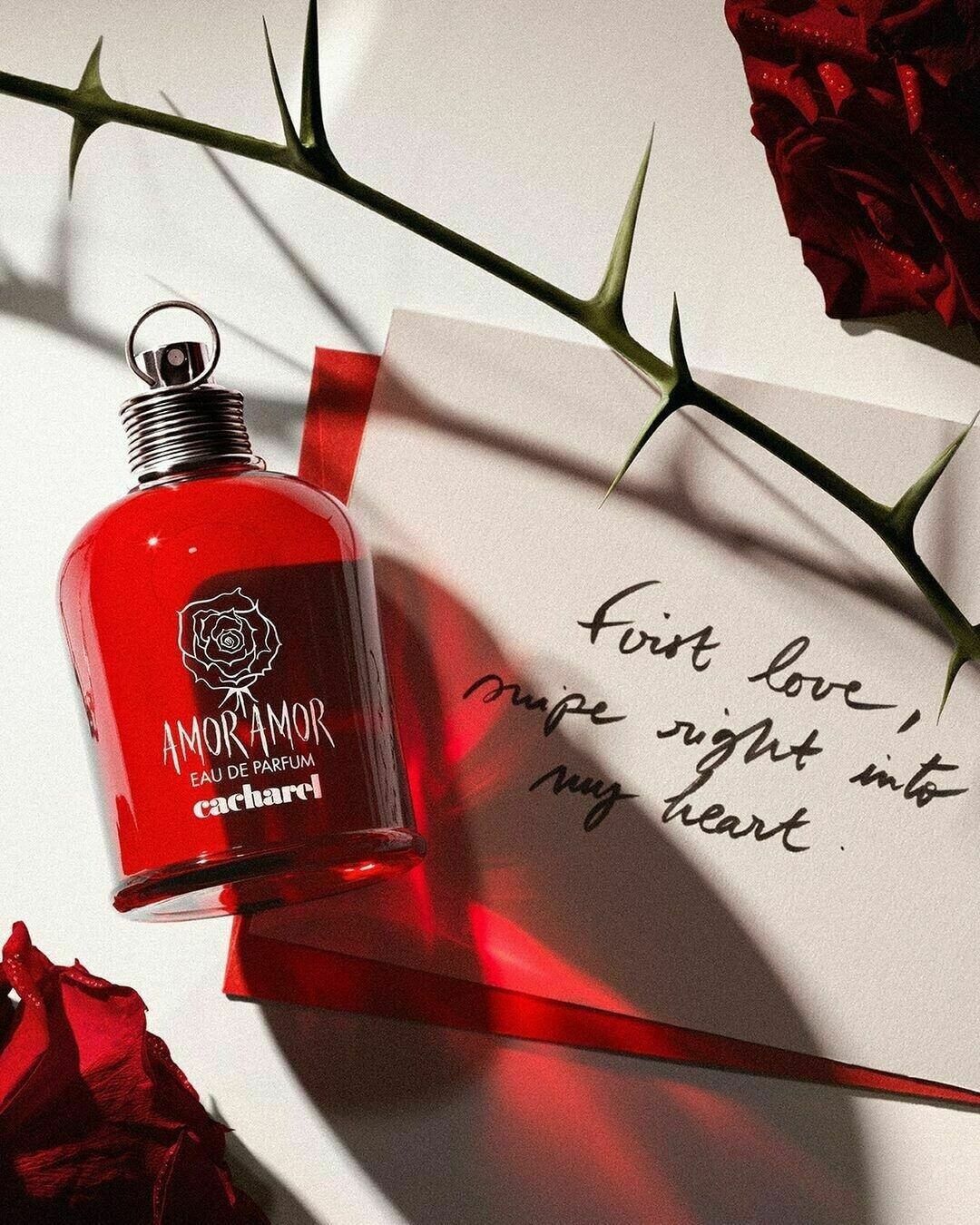 تصویر عطر امور امور او دو پرفیوم کاشارل