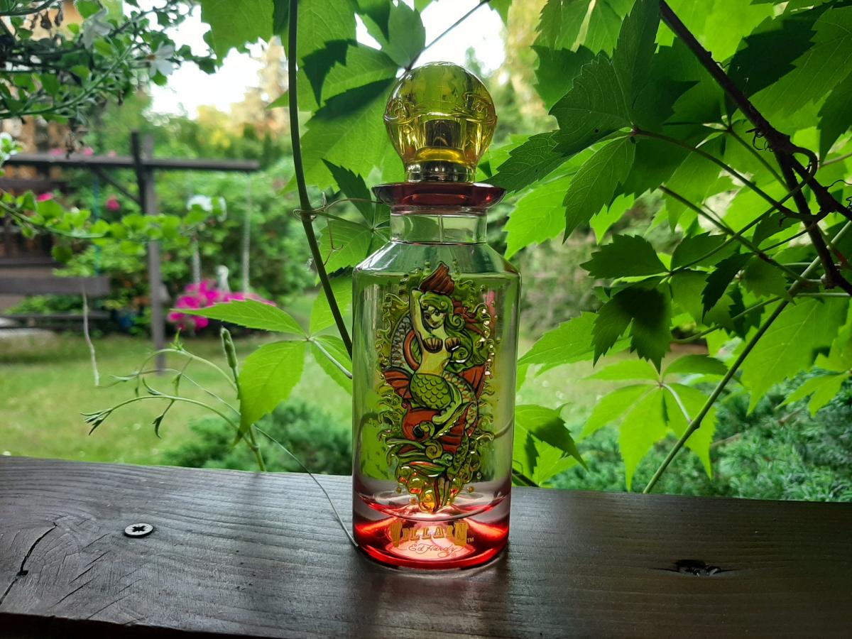 تصویر عطر اد هاردی ویلن فور وومن کریستین اودیژیه