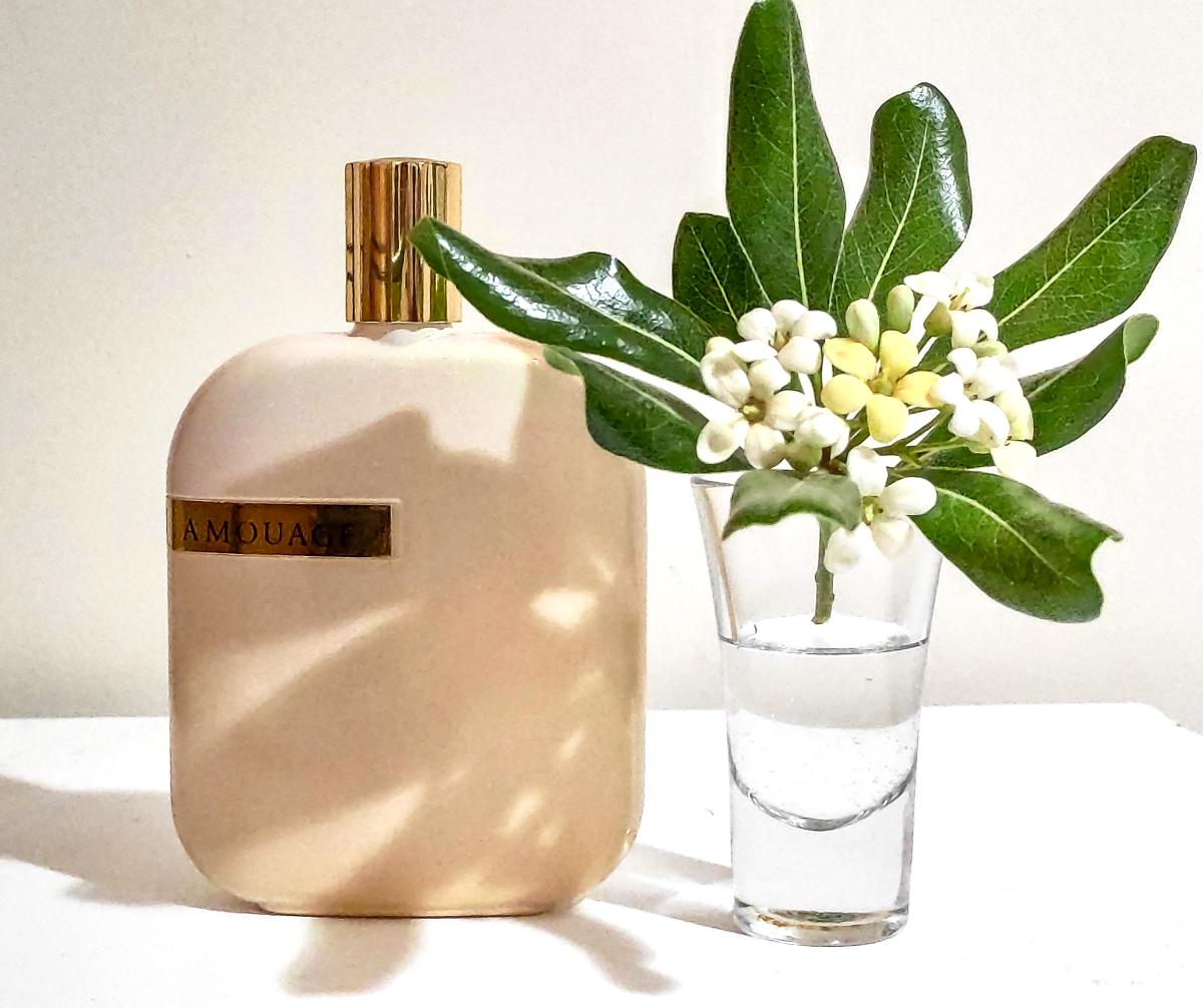 تصویر عطر د لایبرری کالکشن اپوس ۸ آمواژ