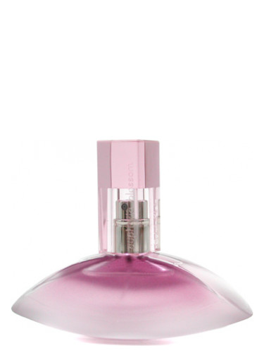 تصویر عطر یوفوریا بلوسوم کالوین کلین