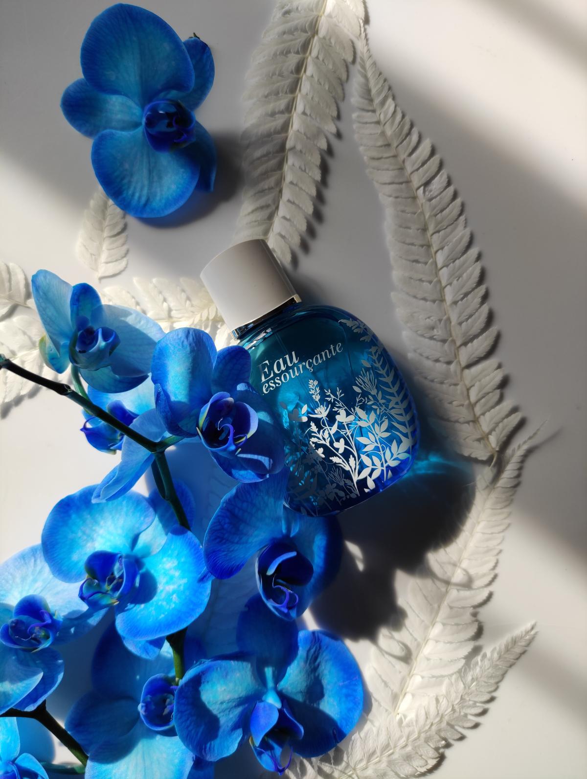 تصویر عطر او رسورسانت کلارنس