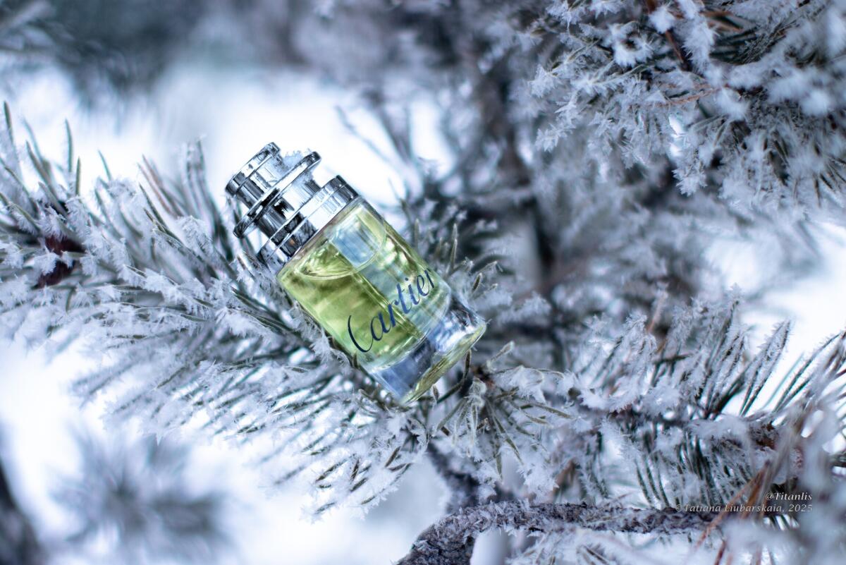 تصویر عطر او دو کارتیر کارتیه