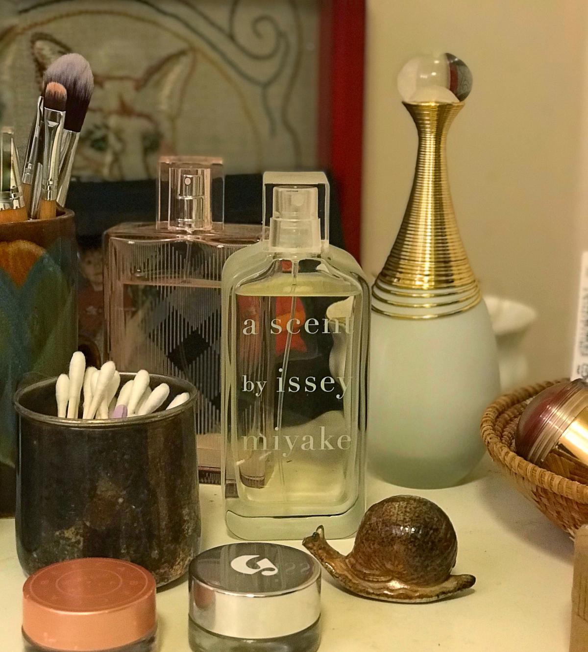تصویر عطر باربری بریت شیر بربری
