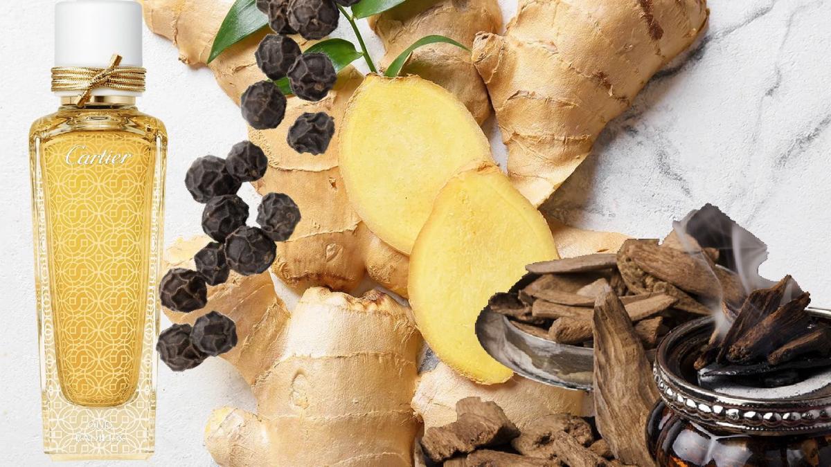 تصویر عطر اود رادیوس کارتیه