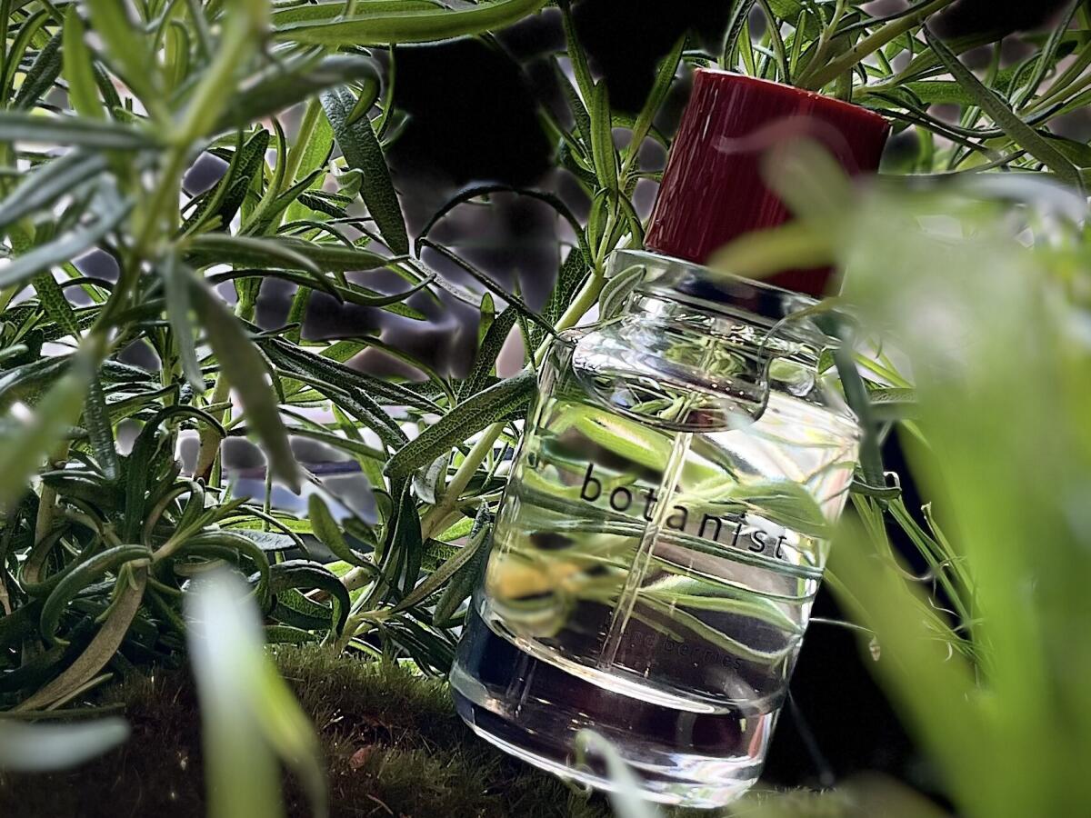 تصویر عطر بوتانیست بیورک اند بِریز
