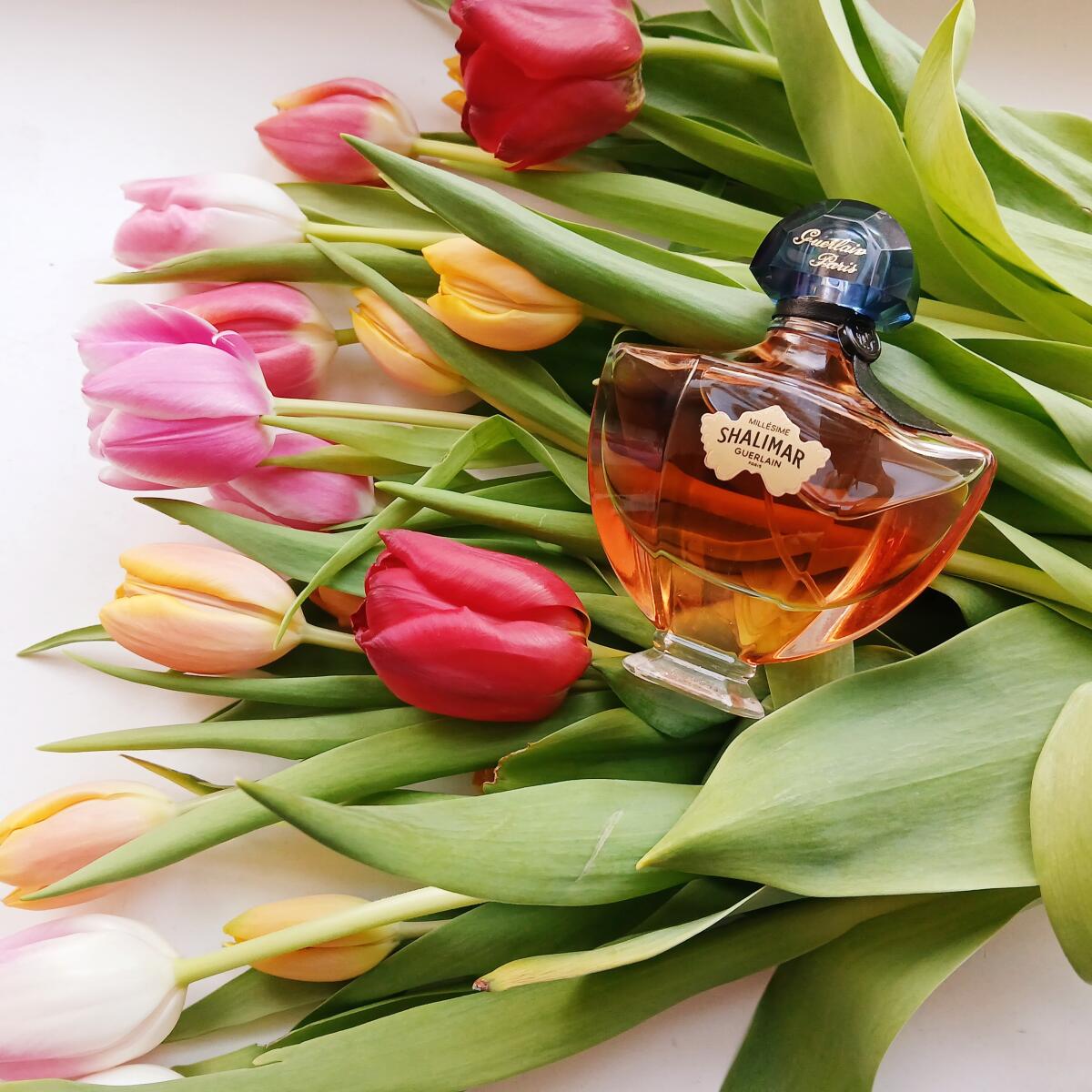 تصویر عطر شالیمار میلیسیم جاسمین گرلن