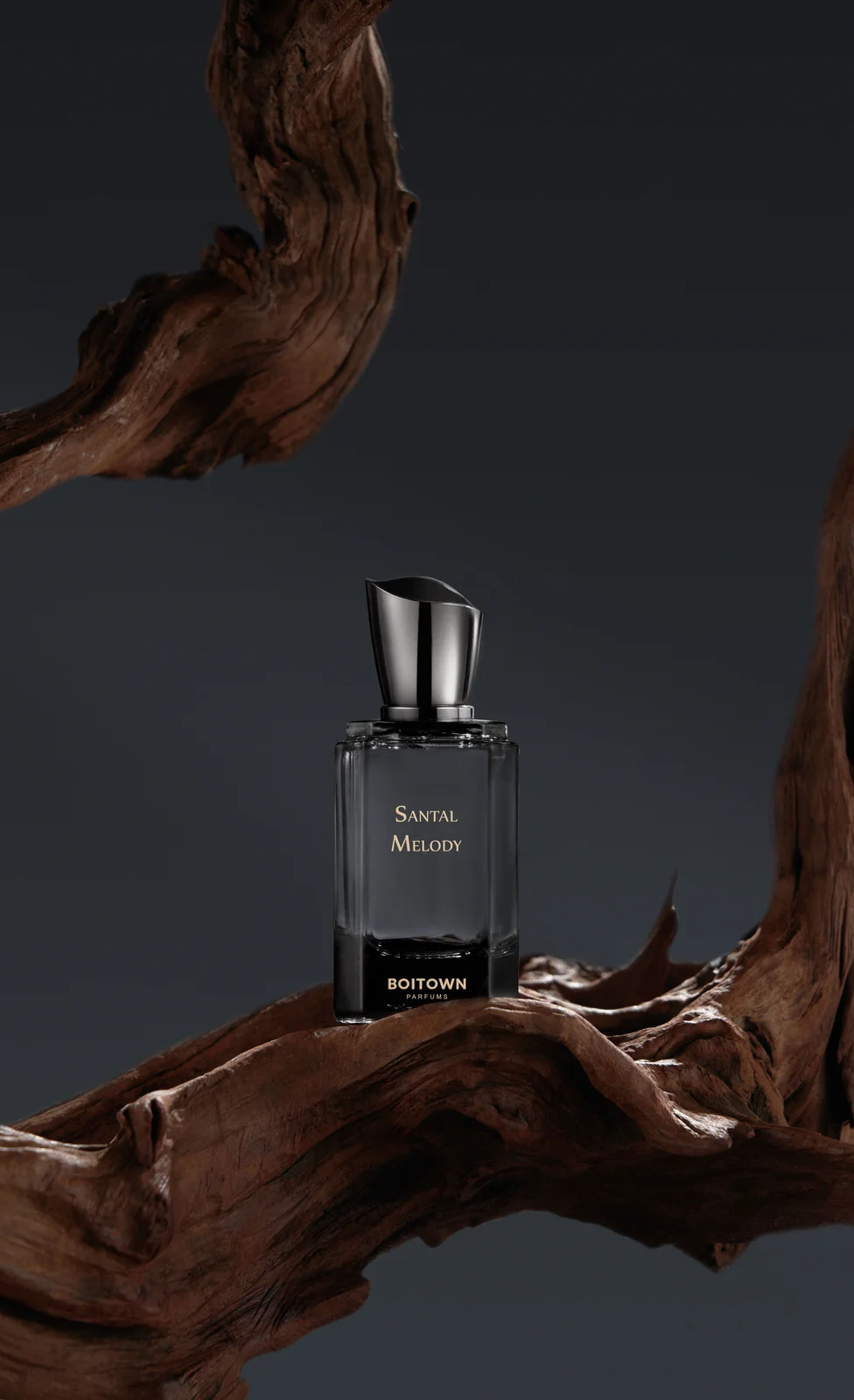 تصویر عطر سانتال ملودی ین تین تان این بوئیتاون