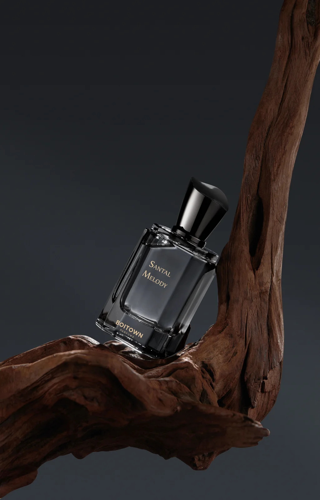 تصویر عطر سانتال ملودی ین تین تان این بوئیتاون