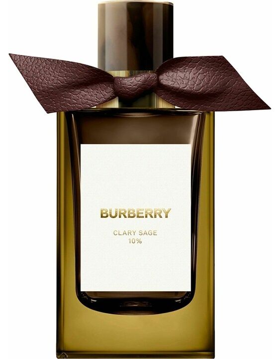 تصویر عطر کلری سیج بربری