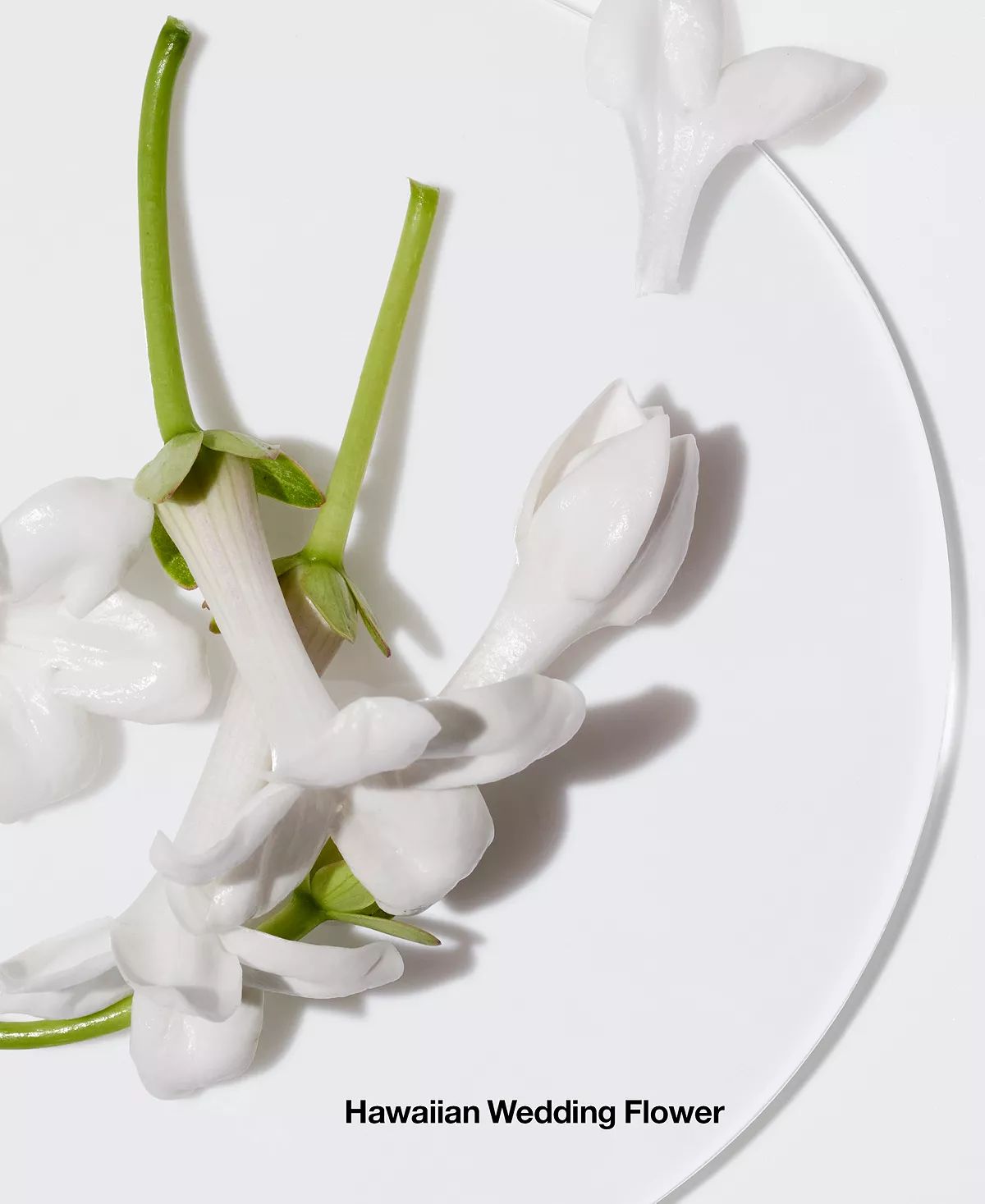 تصویر عطر کلینیک هپی یو میک می هپی بیکاز