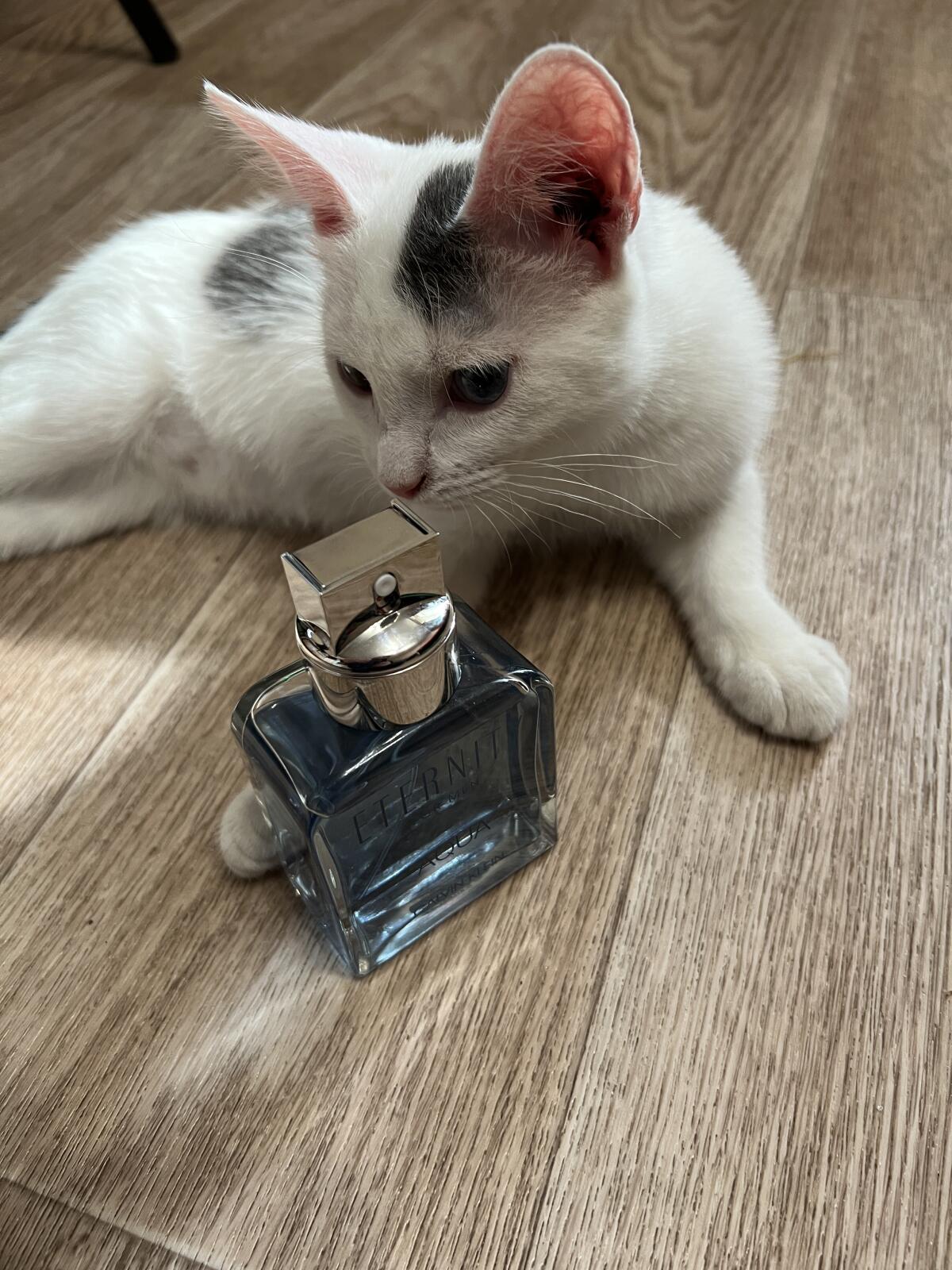 تصویر عطر ایتـِرنیتی آکوا فور من کالوین کلین