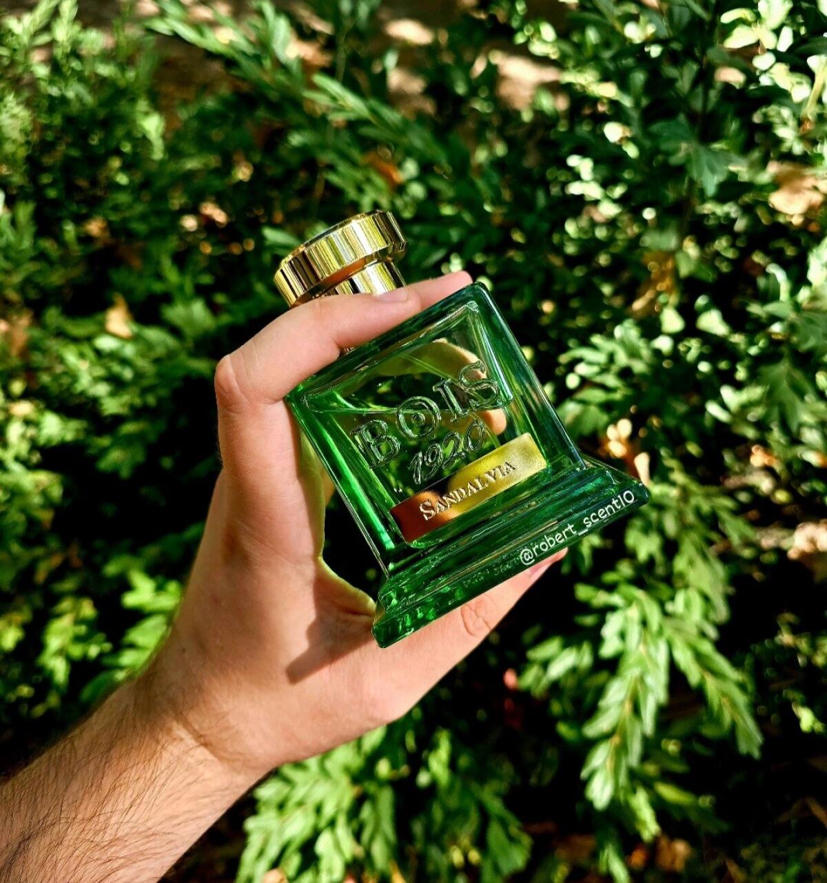 تصویر عطر ساندلویا بویز ۱۹۲۰