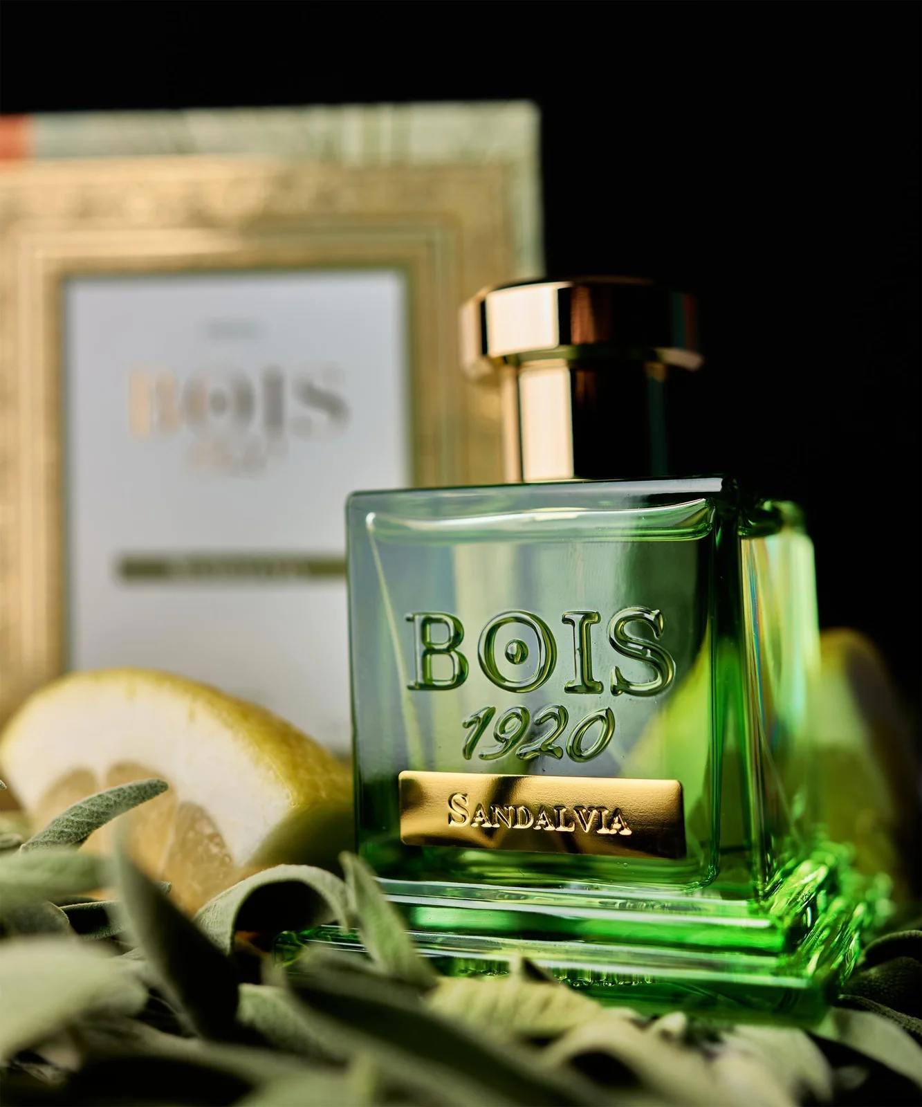 تصویر عطر ساندلویا بویز ۱۹۲۰