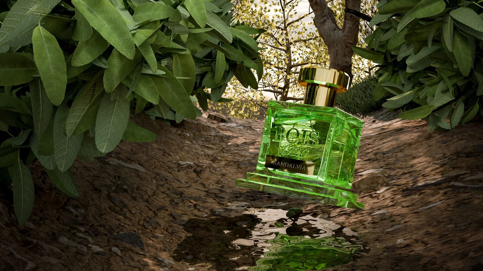 تصویر عطر ساندلویا بویز ۱۹۲۰