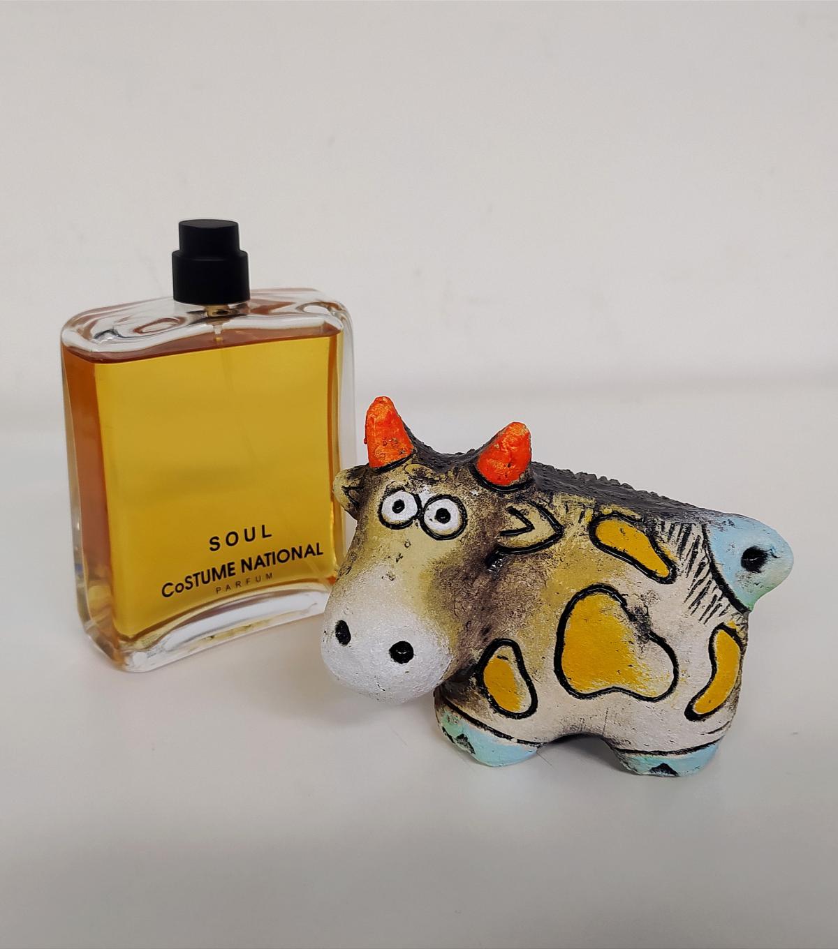 تصویر عطر سول کاستوم نَشِنِل