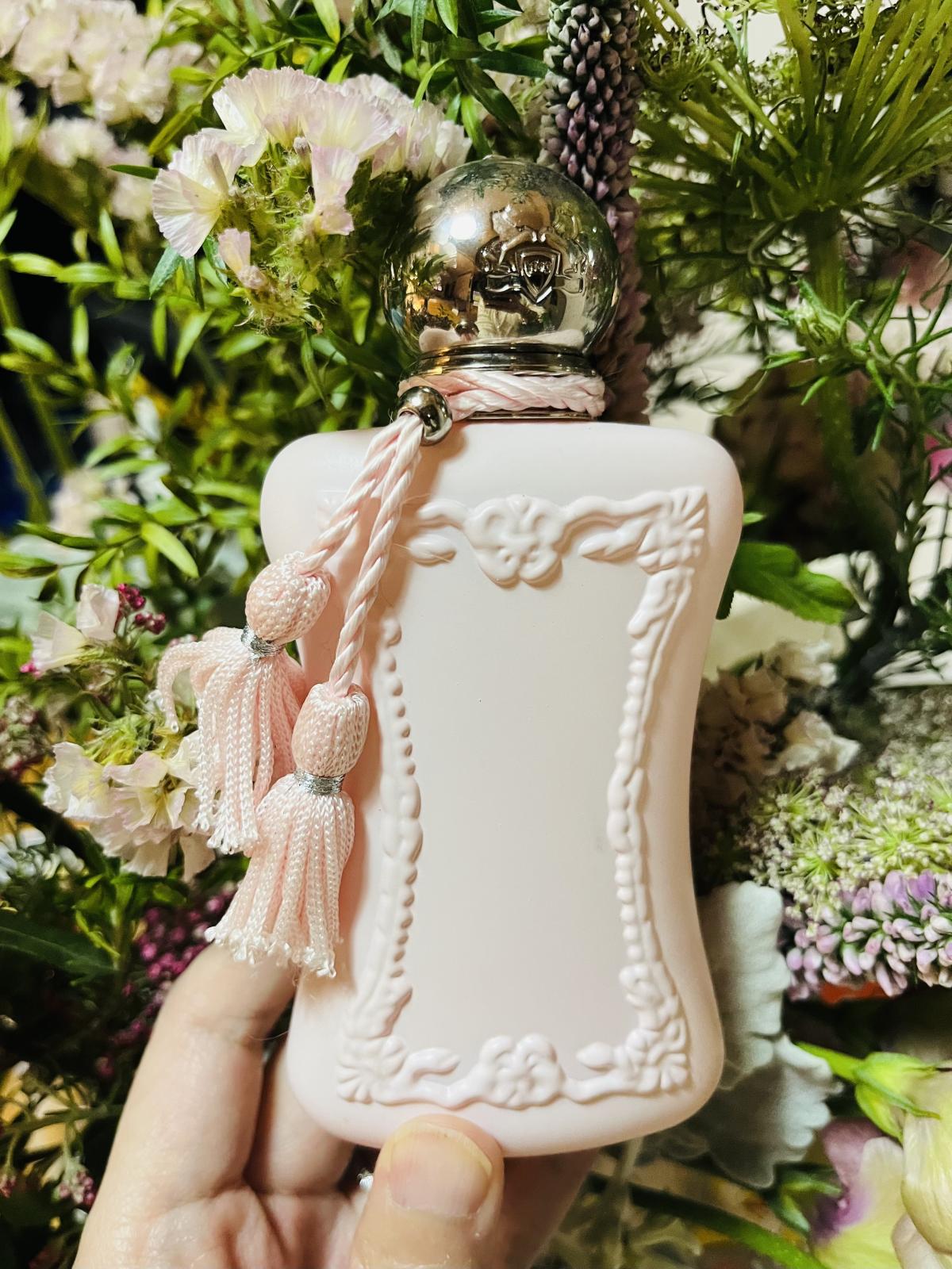 تصویر عطر وارم کاتن کلین