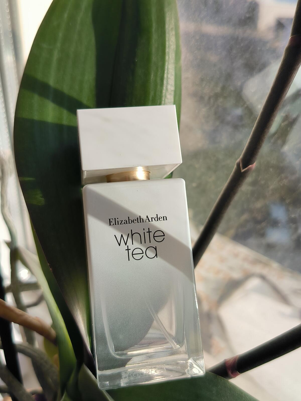 تصویر عطر وایت تی الیزابت آردن