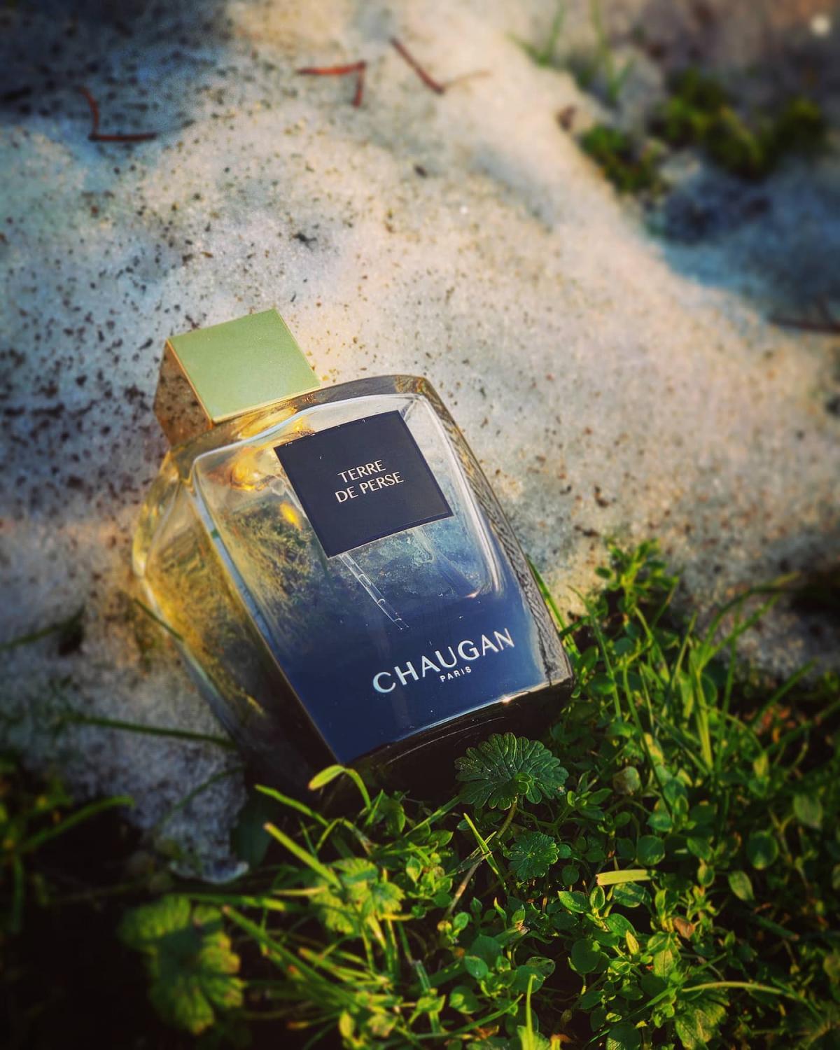 تصویر عطر تر د پرس چاوگان