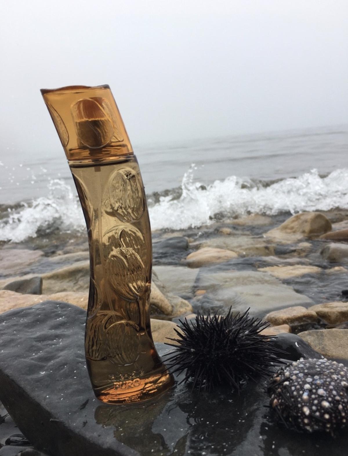 تصویر عطر کافه پیورو کافه پرفیومز