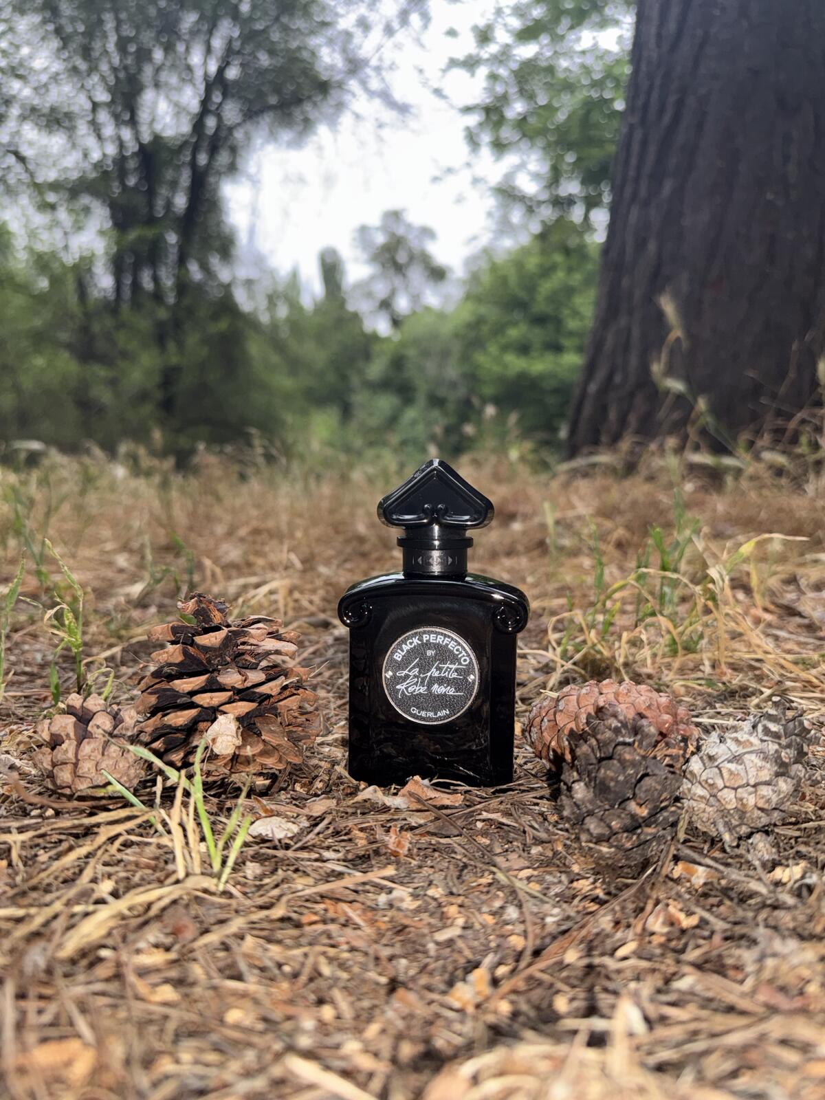تصویر عطر بلک پرفکتو بای لا پتی رابه نوآر گرلن