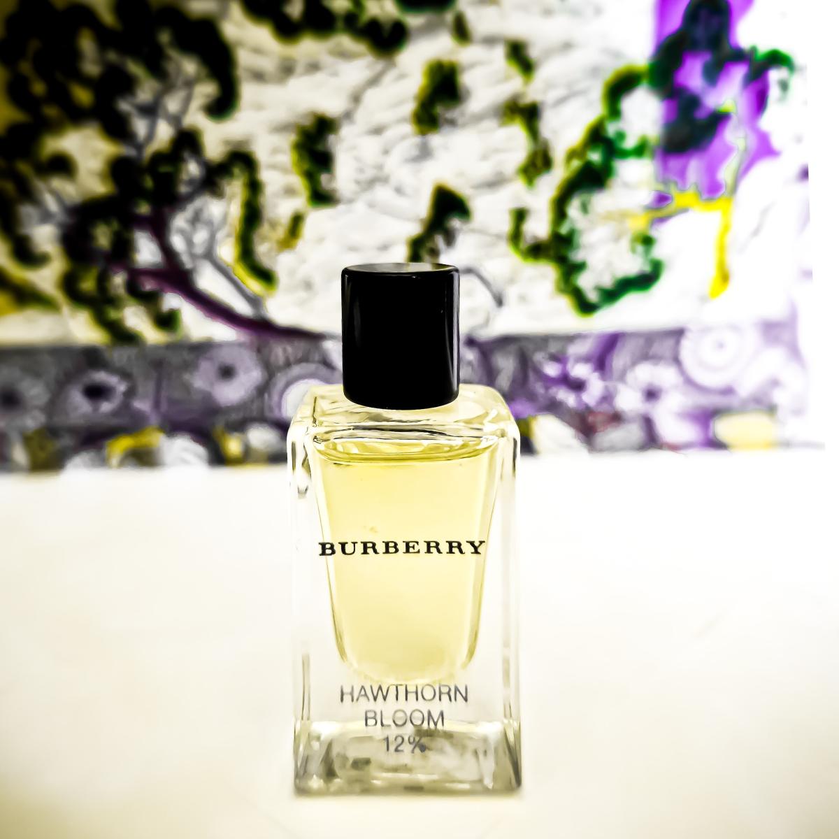 تصویر عطر هاوتورن بلوم بربری