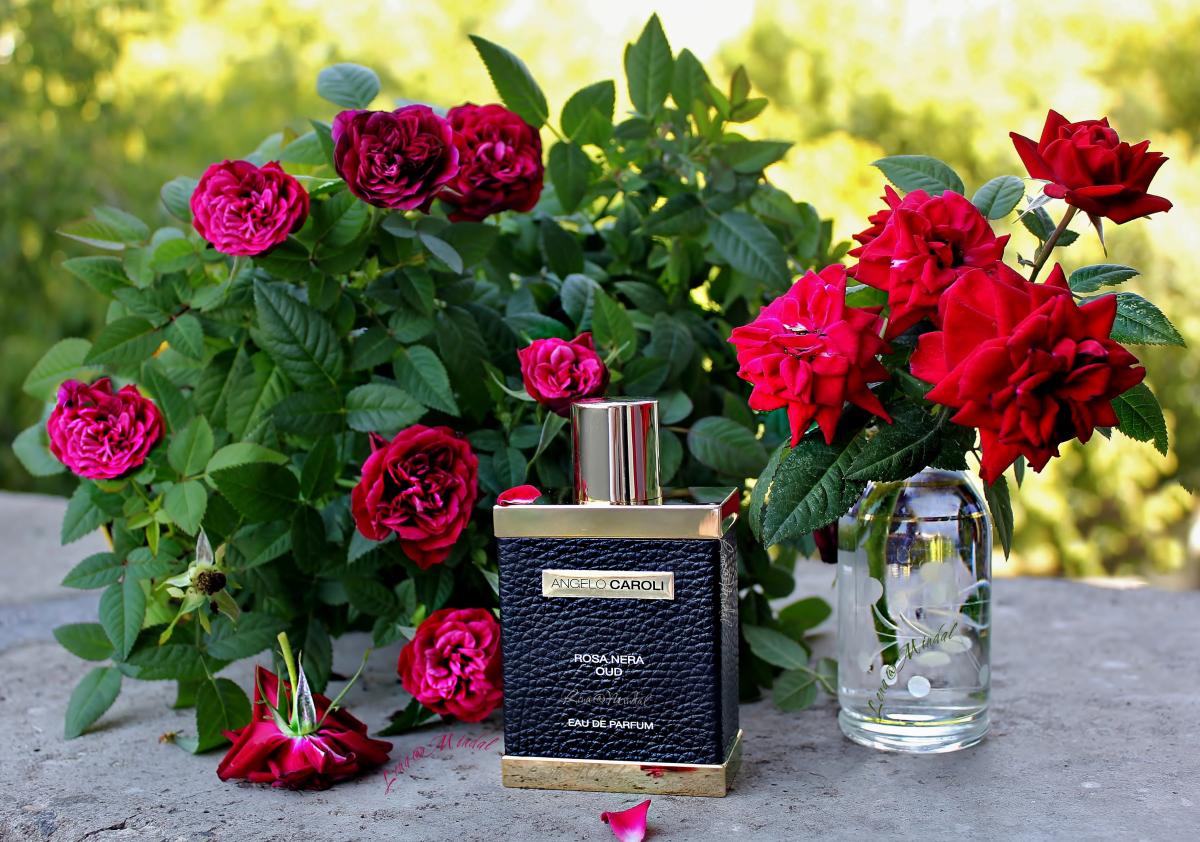 تصویر عطر رُزا نِرا عود آنجلو کارولی
