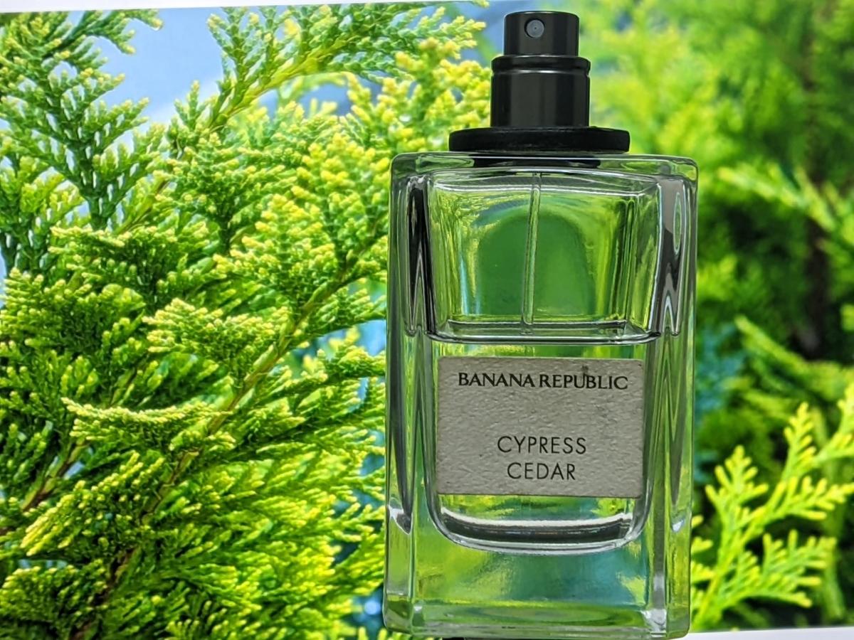 تصویر عطر سایپرس سدر بنانا ریپابلیک