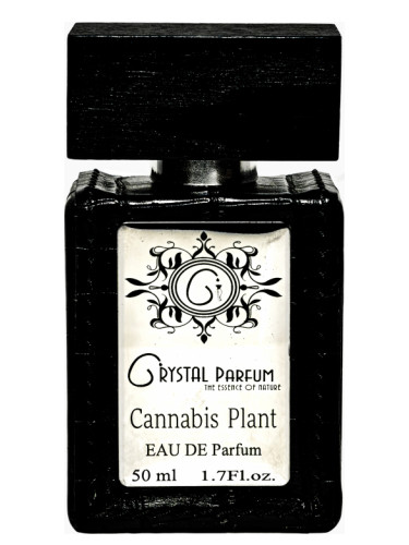 تصویر عطر کانابیس پلنت کریستال پرفیوم