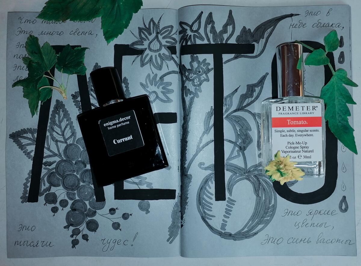 تصویر عطر توماٹو دیمتر فرگرنس
