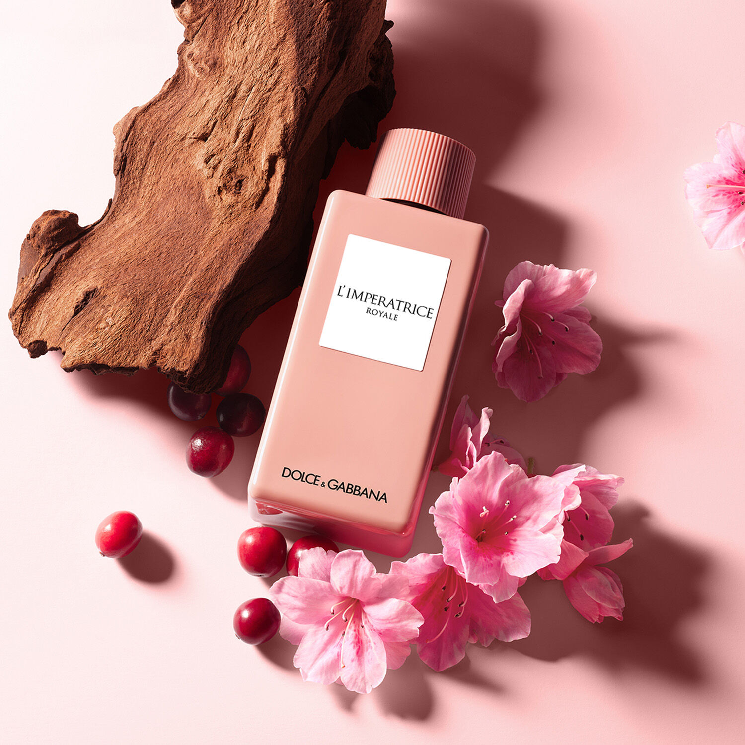 تصویر عطر لامپراتریس رویال دولچه اند گابانا